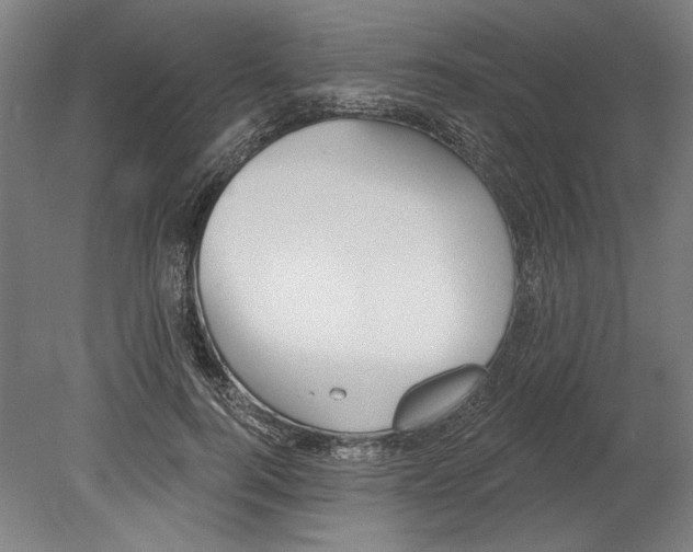 X0000080670744200701051008