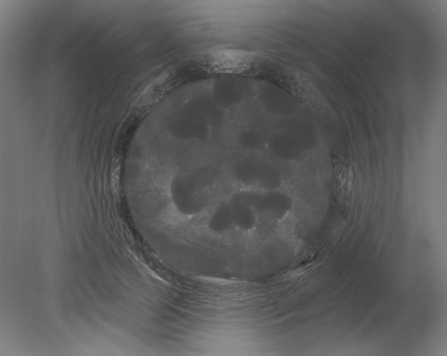 X0000080670745200701051008