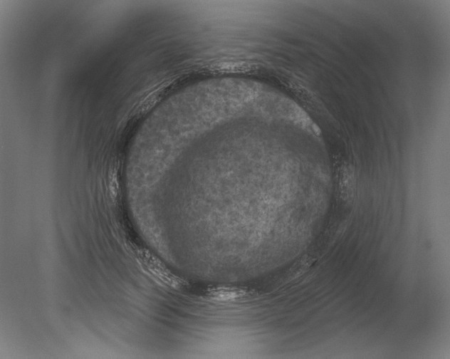 X0000080670746200701051008