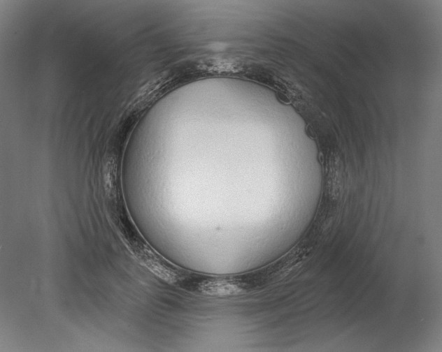 X0000080670747200701051008