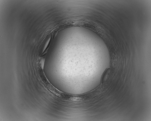 X0000080670748200701051008