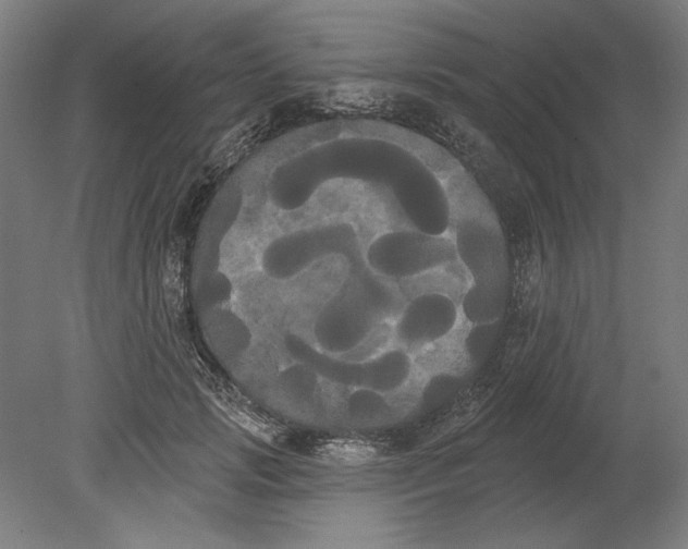 X0000080670749200701051008