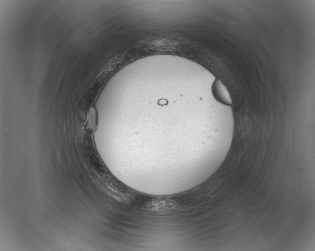 X0000080670752200701051008