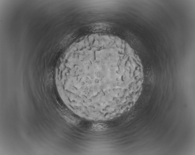 X0000080670753200701051008