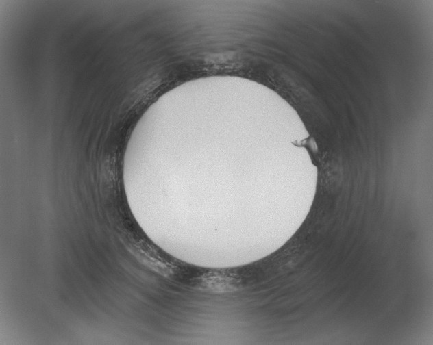 X0000080670756200701051008