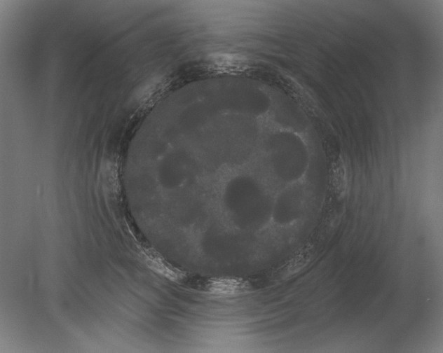 X0000080670757200701051008