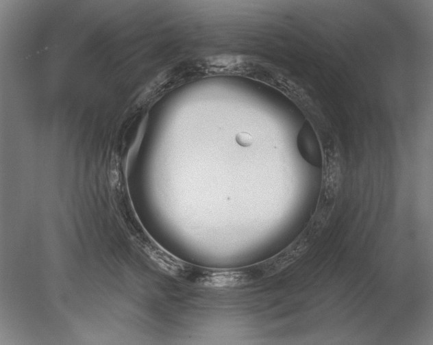 X0000080670758200701051008