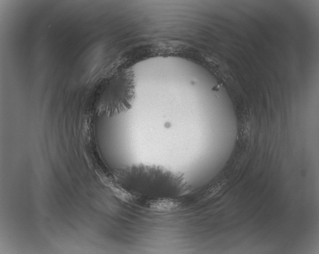 X0000080670759200701051008