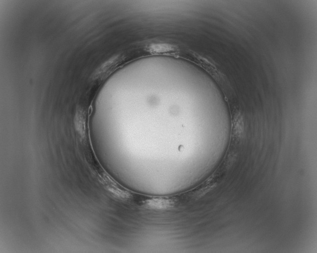 X0000080670763200701051008