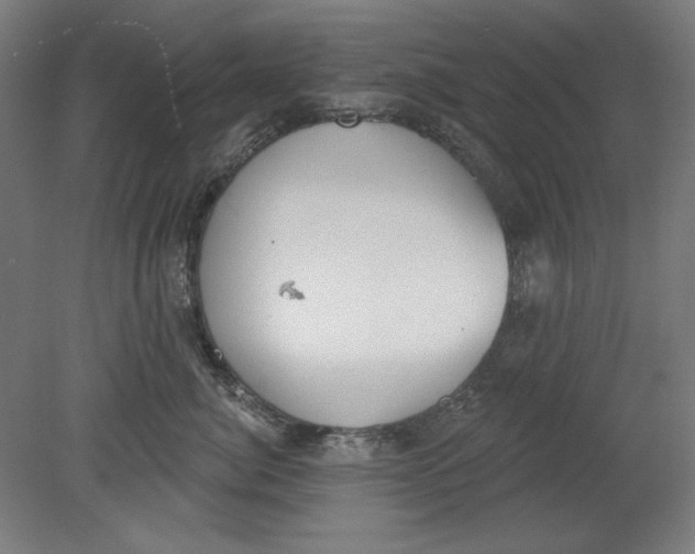 X0000080670764200701051008