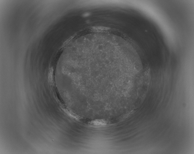 X0000080670765200701051008