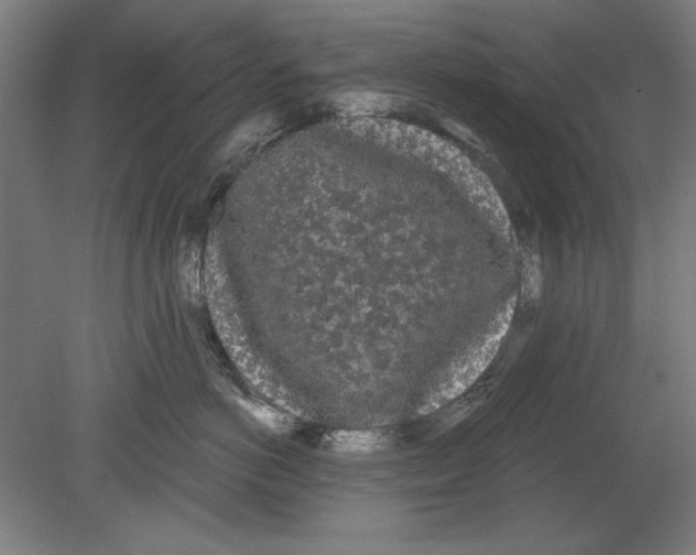 X0000080670766200701051008