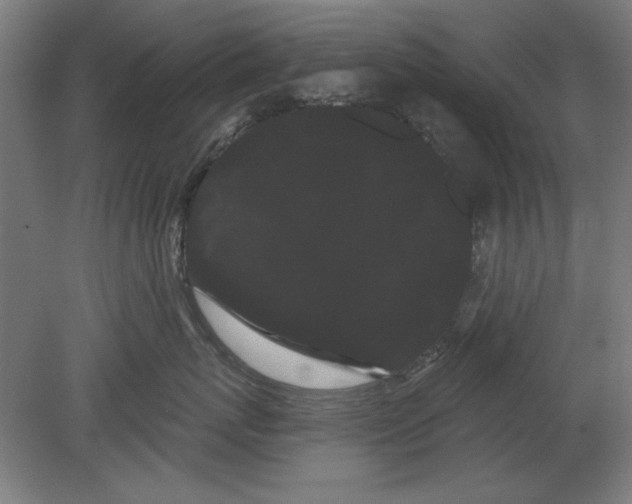 X0000080670767200701051008