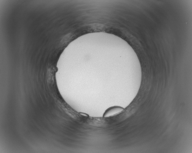 X0000080670768200701051008