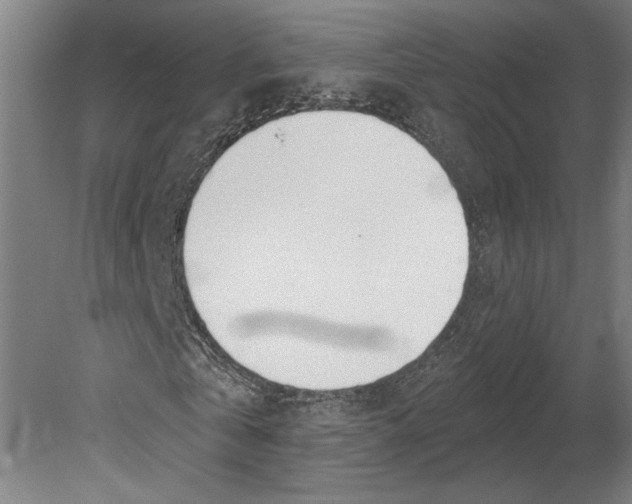 X0000080670769200701051007