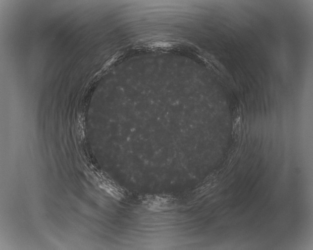 X0000080670772200701051007