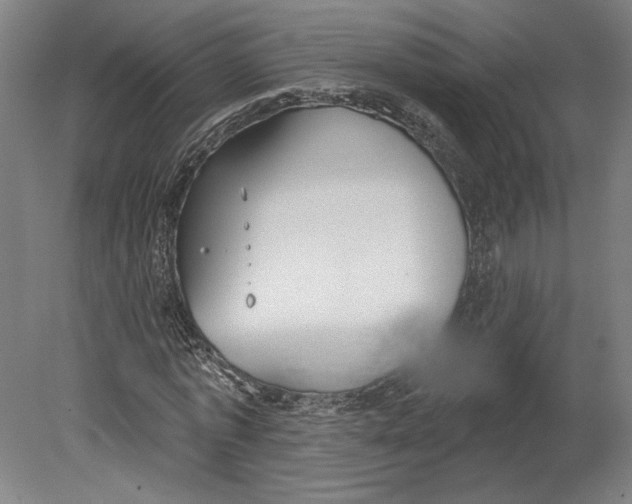 X0000080670773200701051007