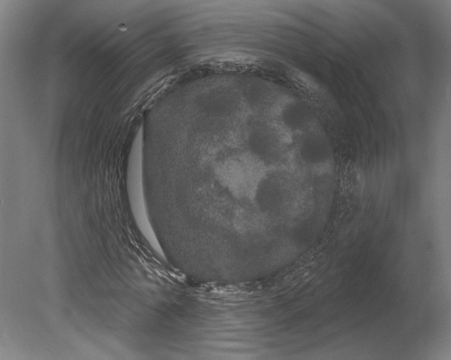 X0000080670774200701051007