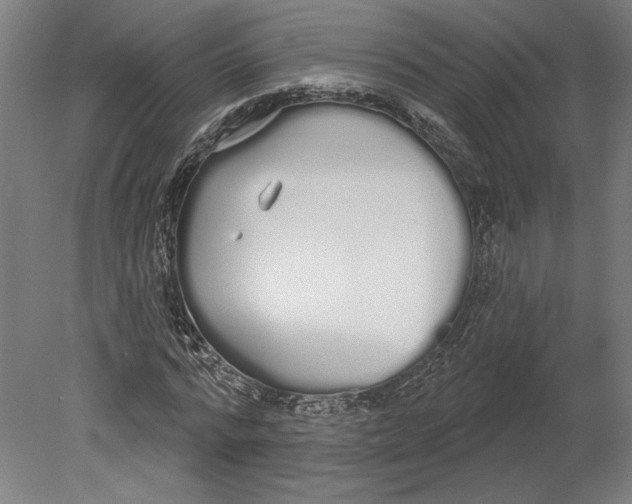 X0000080670776200701051007