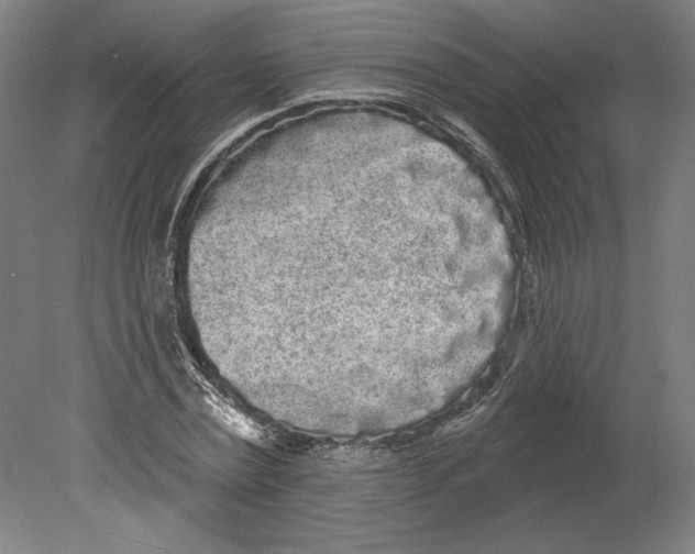 X0000080670779200701051007