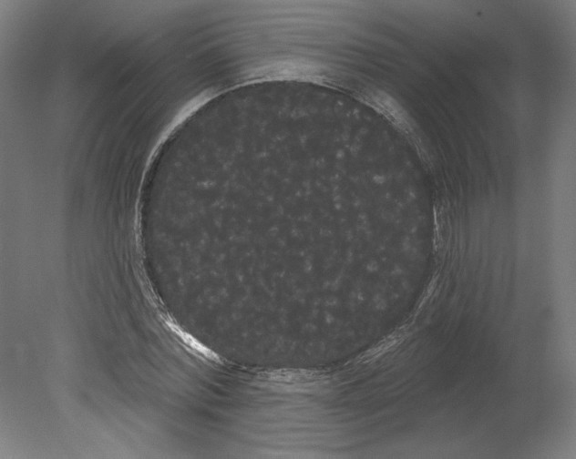 X0000080670780200701051007