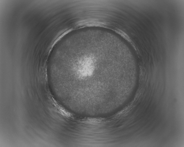 X0000080670782200701051007