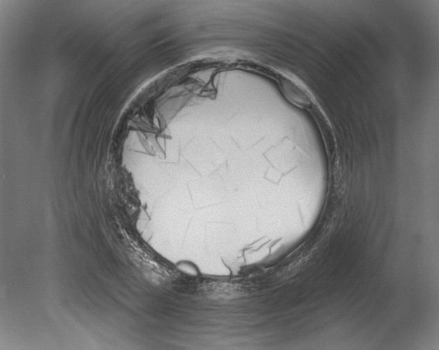 X0000080670783200701051007