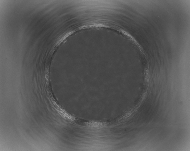 X0000080670785200701051007