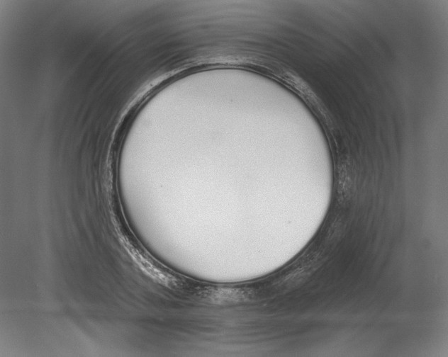 X0000080670787200701051007