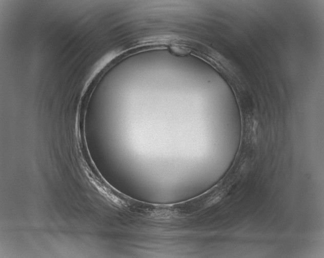 X0000080670788200701051007