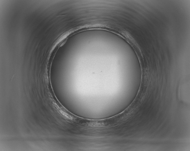 X0000080670789200701051007