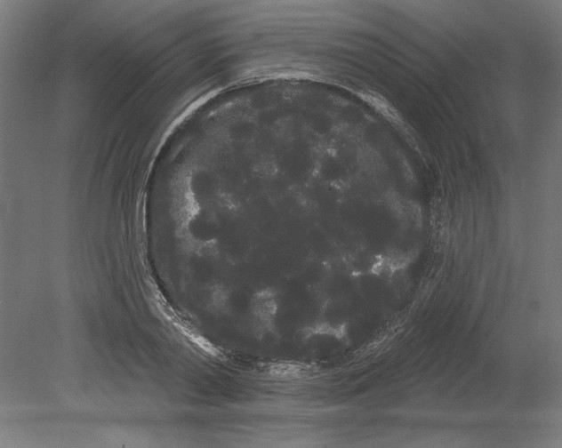 X0000080670790200701051007