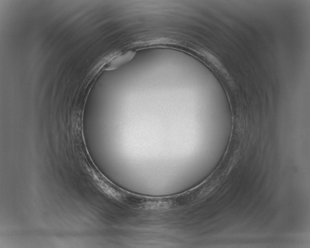 X0000080670793200701051007