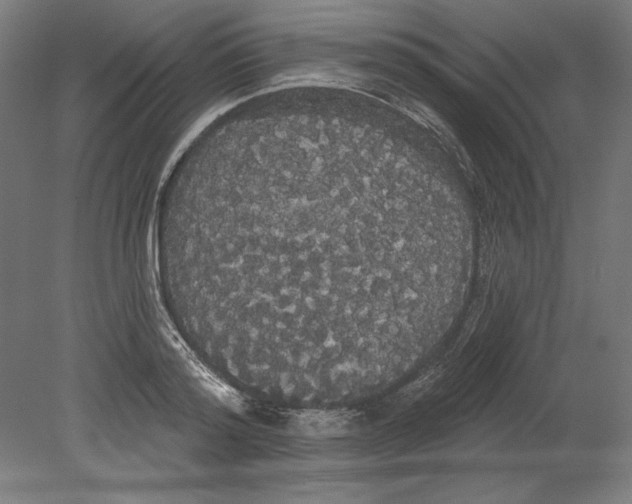 X0000080670796200701051007