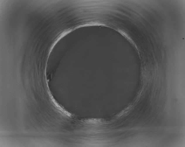 X0000080670797200701051007