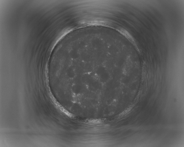 X0000080670798200701051007