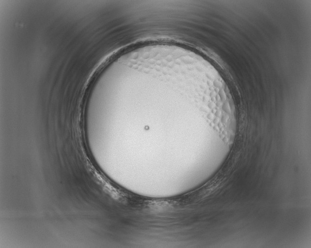 X0000080670799200701051007