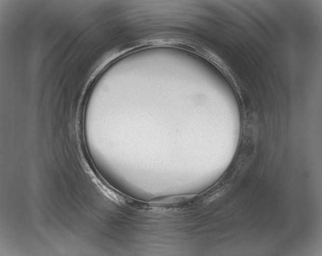 X0000080670803200701051007