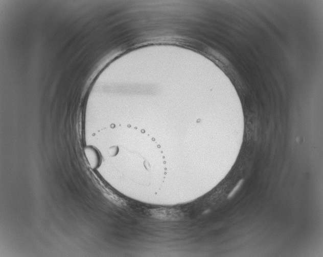 X0000080670804200701051007