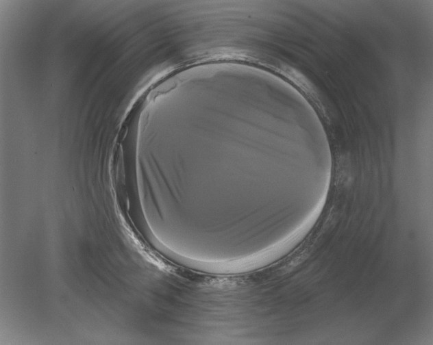 X0000080670806200701051007