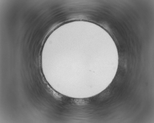 X0000080670807200701051007