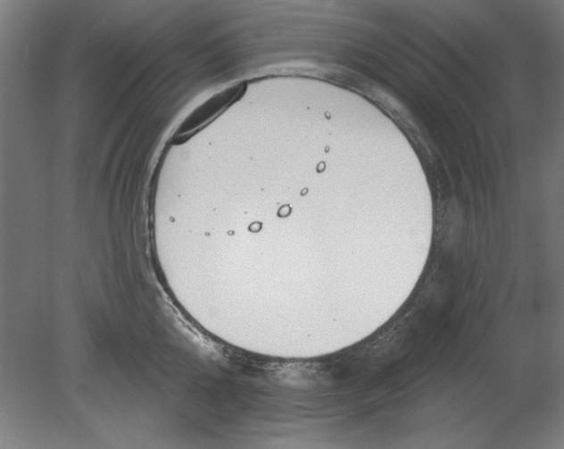 X0000080670808200701051007