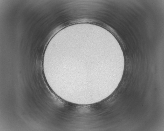 X0000080670810200701051007