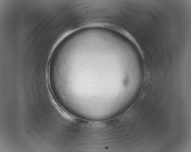 X0000080670811200701051007