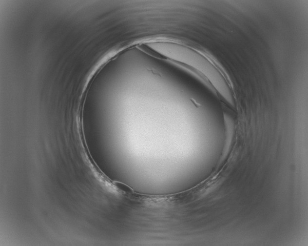 X0000080670813200701051007