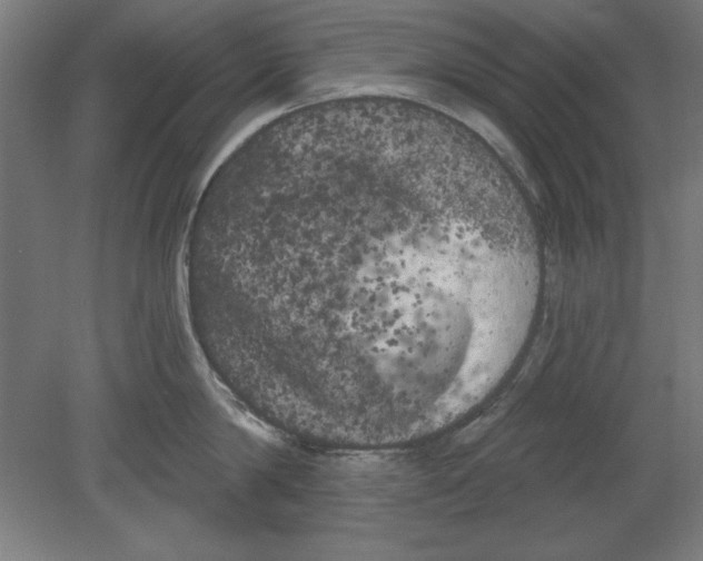 X0000080670814200701051007