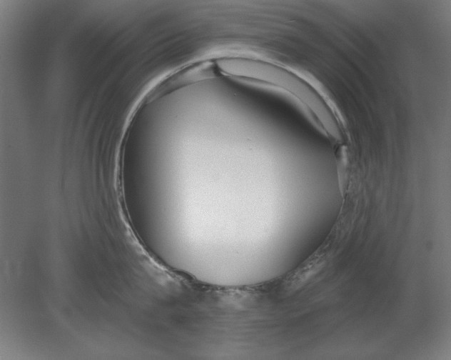 X0000080670815200701051007