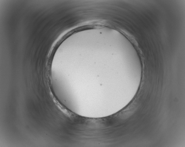 X0000080670816200701051007