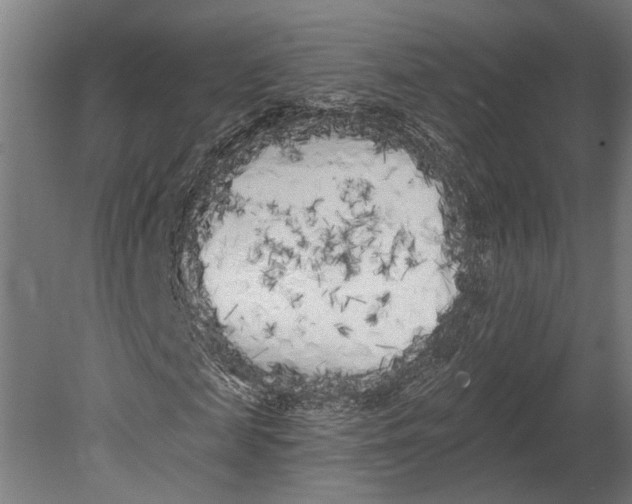 X0000080670817200701051006