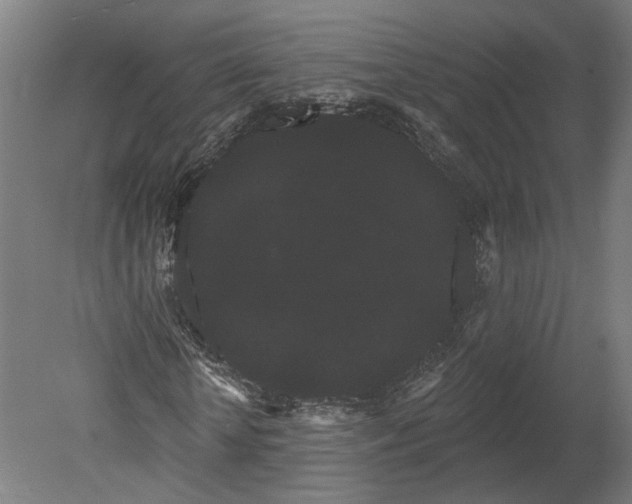 X0000080670818200701051006